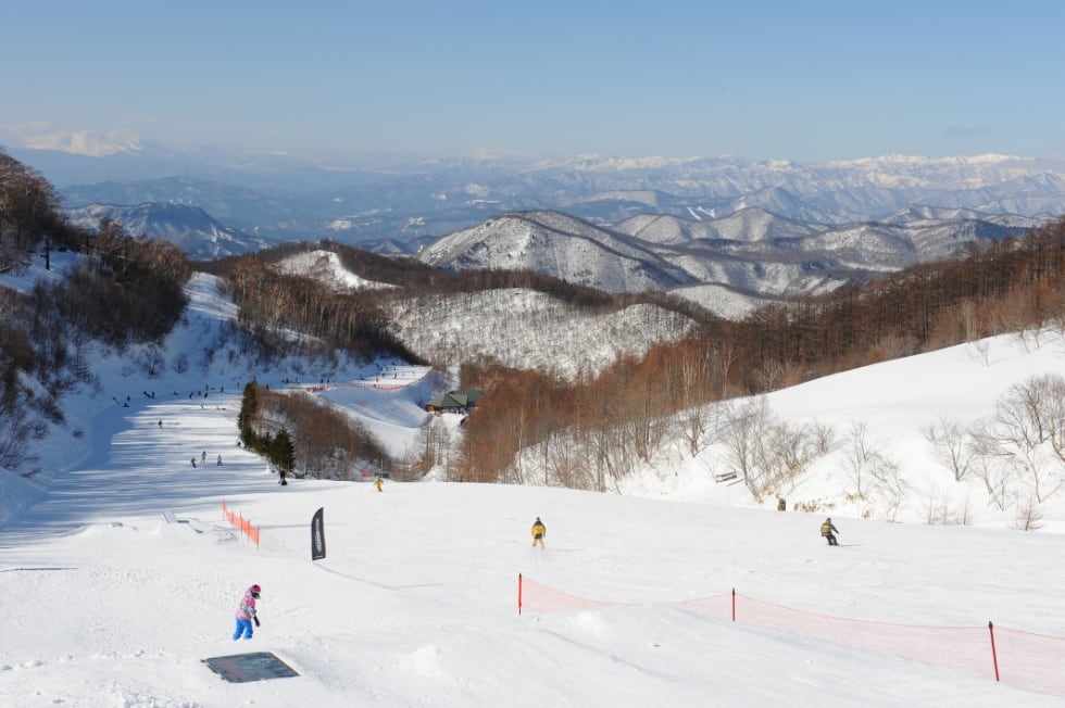 桜川コースの写真1