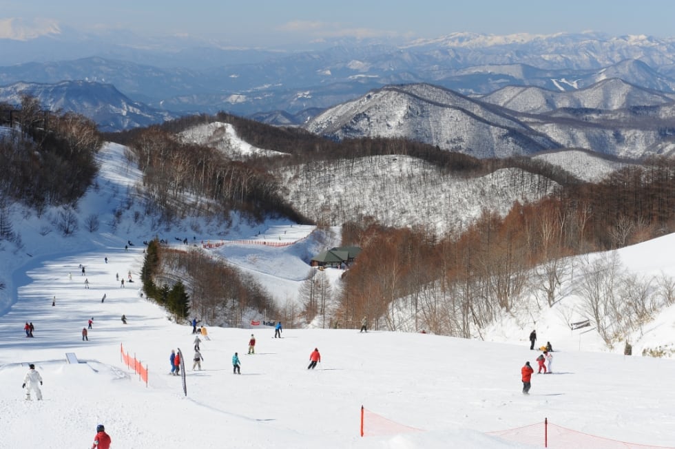 桜川コースの写真2