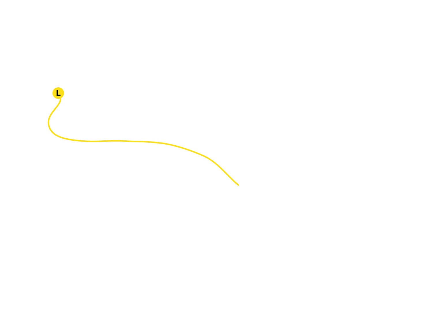 高手スカイライン