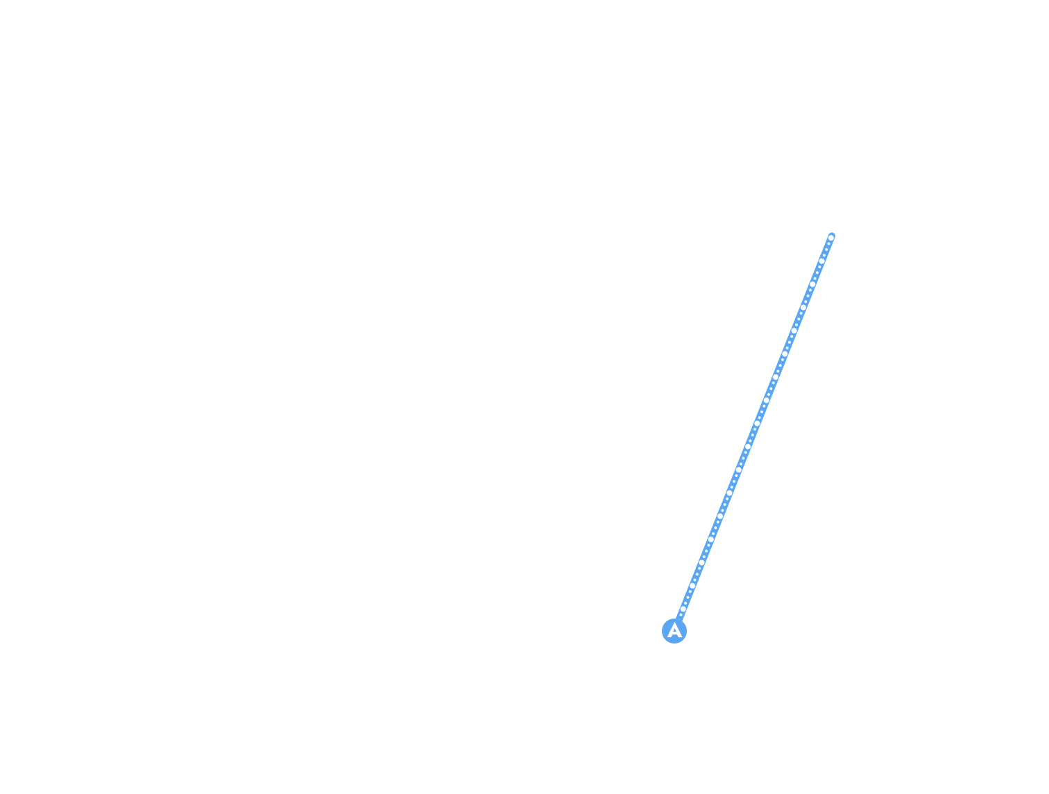 白鳥エクスプレス