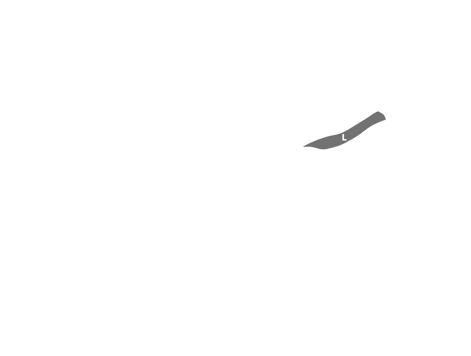 OFF THE PISTE V （OTP V）