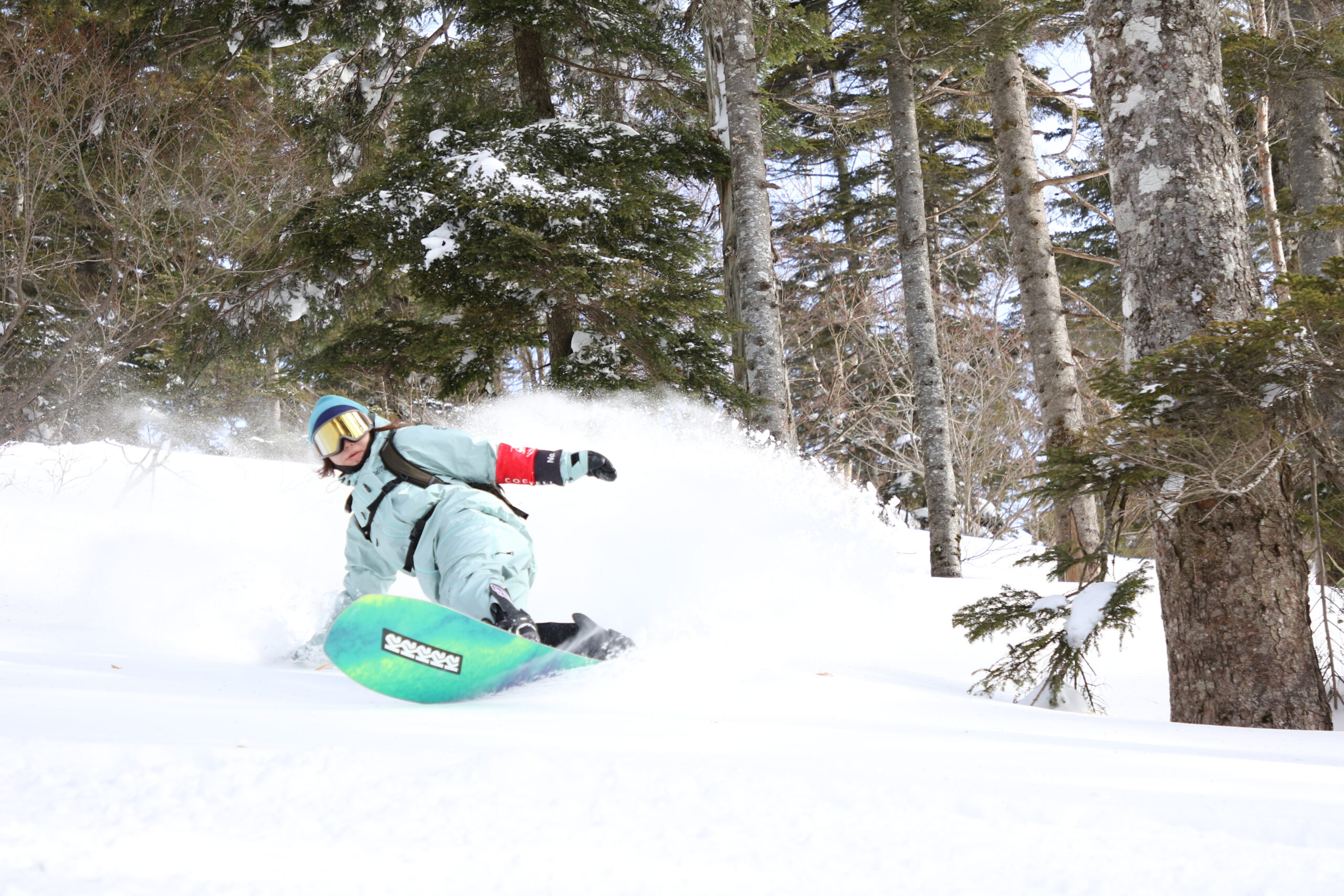 【2025/26シーズン版】群馬でパウダースノー（天然雪）を楽しめる！ おすすめスキー場10選