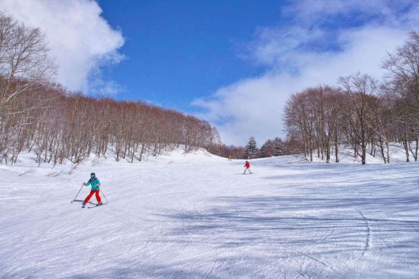 初心者必見！安心して楽しめるスキー場選びと準備ガイド